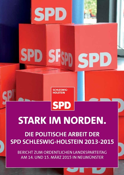 Datei:Rechenschaftsbericht 2013-2015.pdf