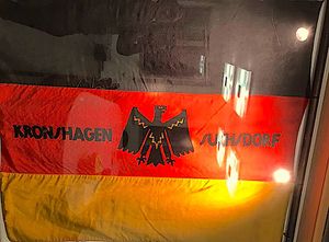 Traditionsfahne Reichsbanner Kronshagen-Suchsdorf.jpg